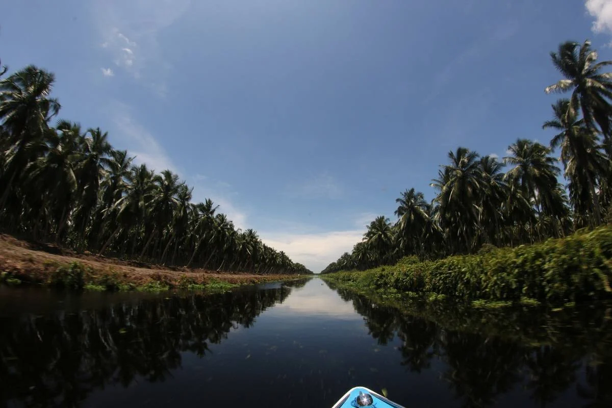 wisata