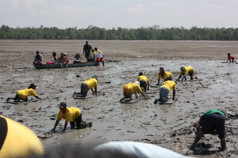 Pantai Bidari Desa Tanjung Pasir