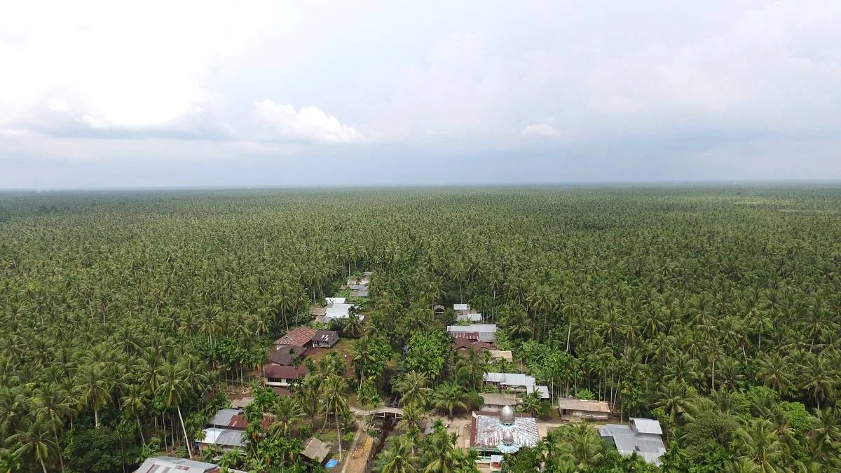 Agrowisata Kelapa